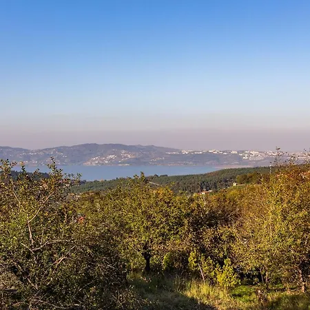 Villa Pleasant Surrounded By Nature With Refreshing View In Sapanca